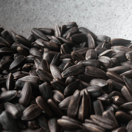 Black Oil Sunflower Seeds