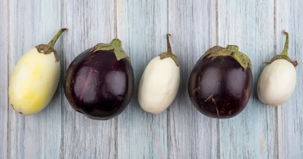 white eggplant