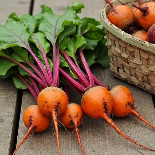 The Best 10 Orange Vegetables to Grow for Vibrant Health 10 orange vegetables